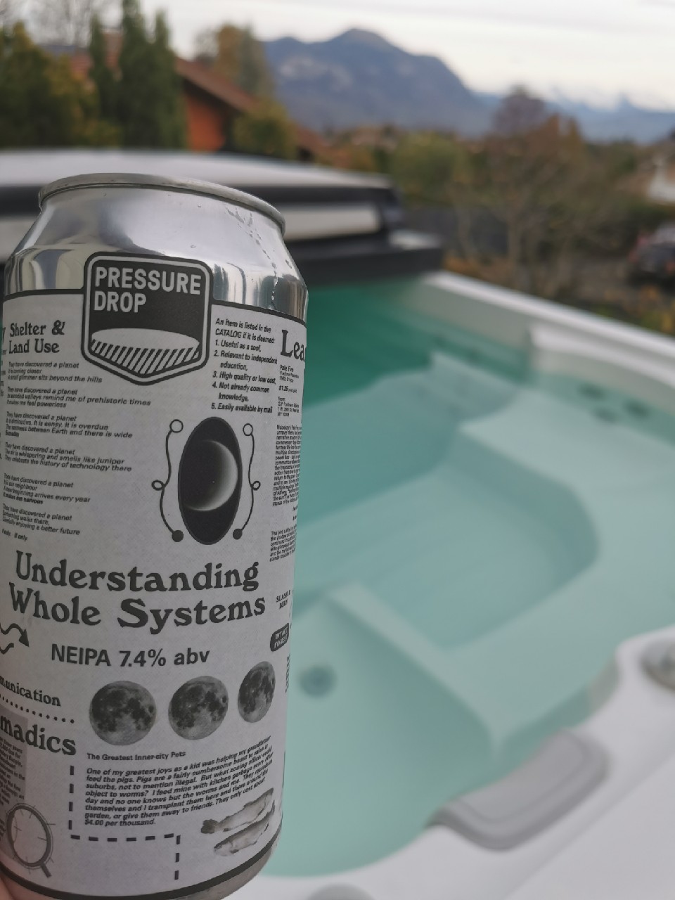 Understanding Whole Systems, England