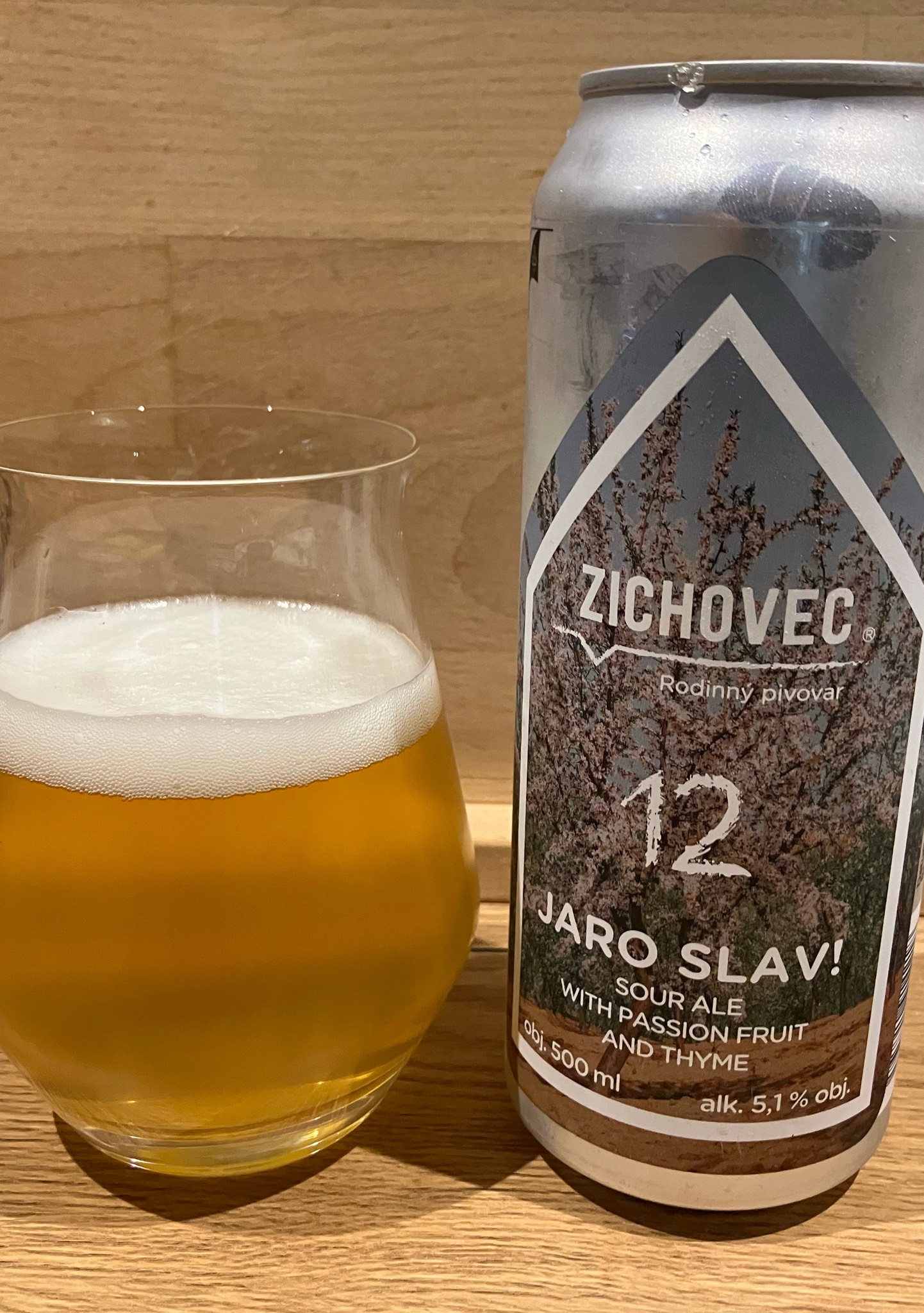 12 Jaro Slav!, Czech Republic