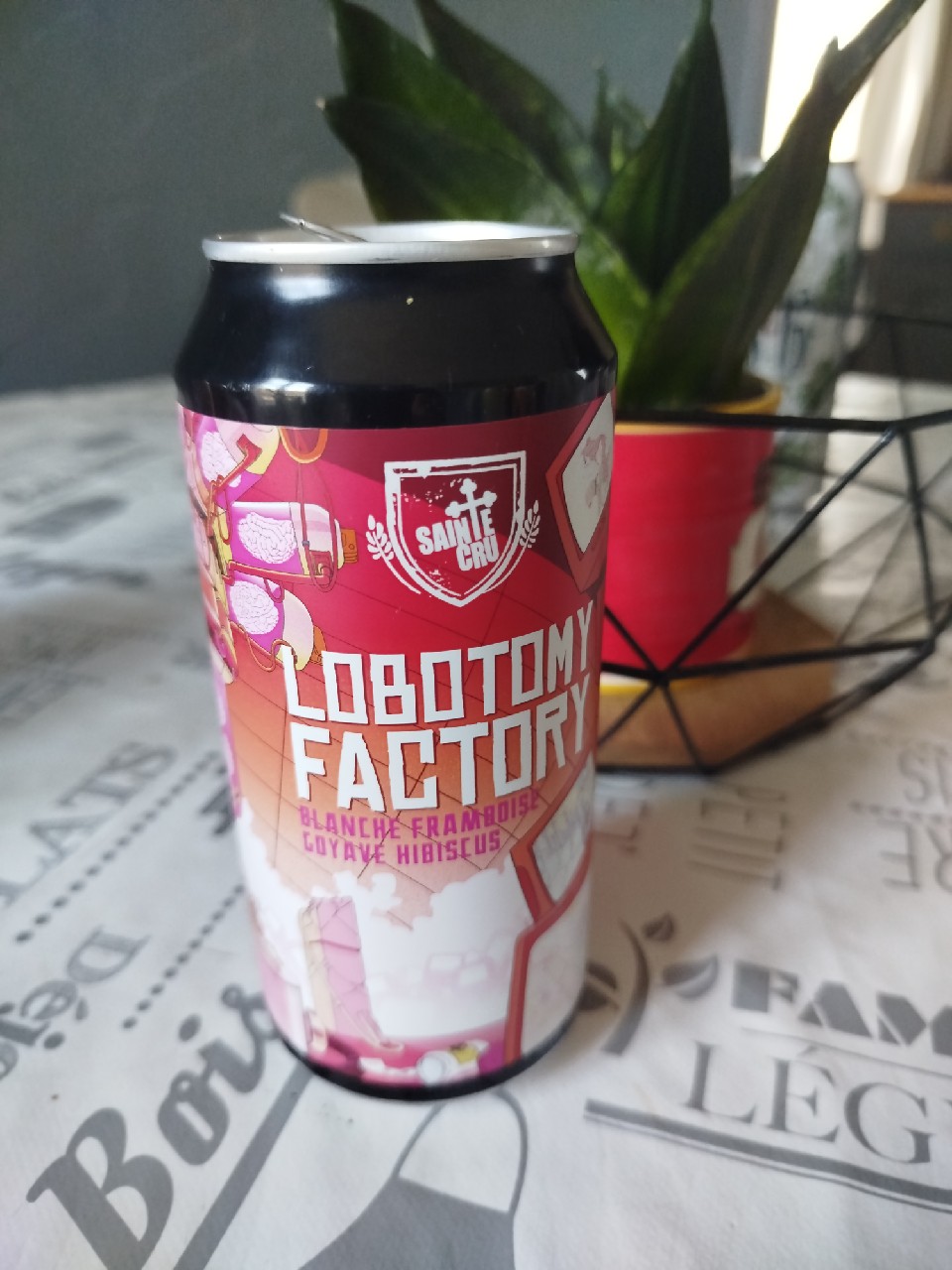 Lobotomy Factory, France