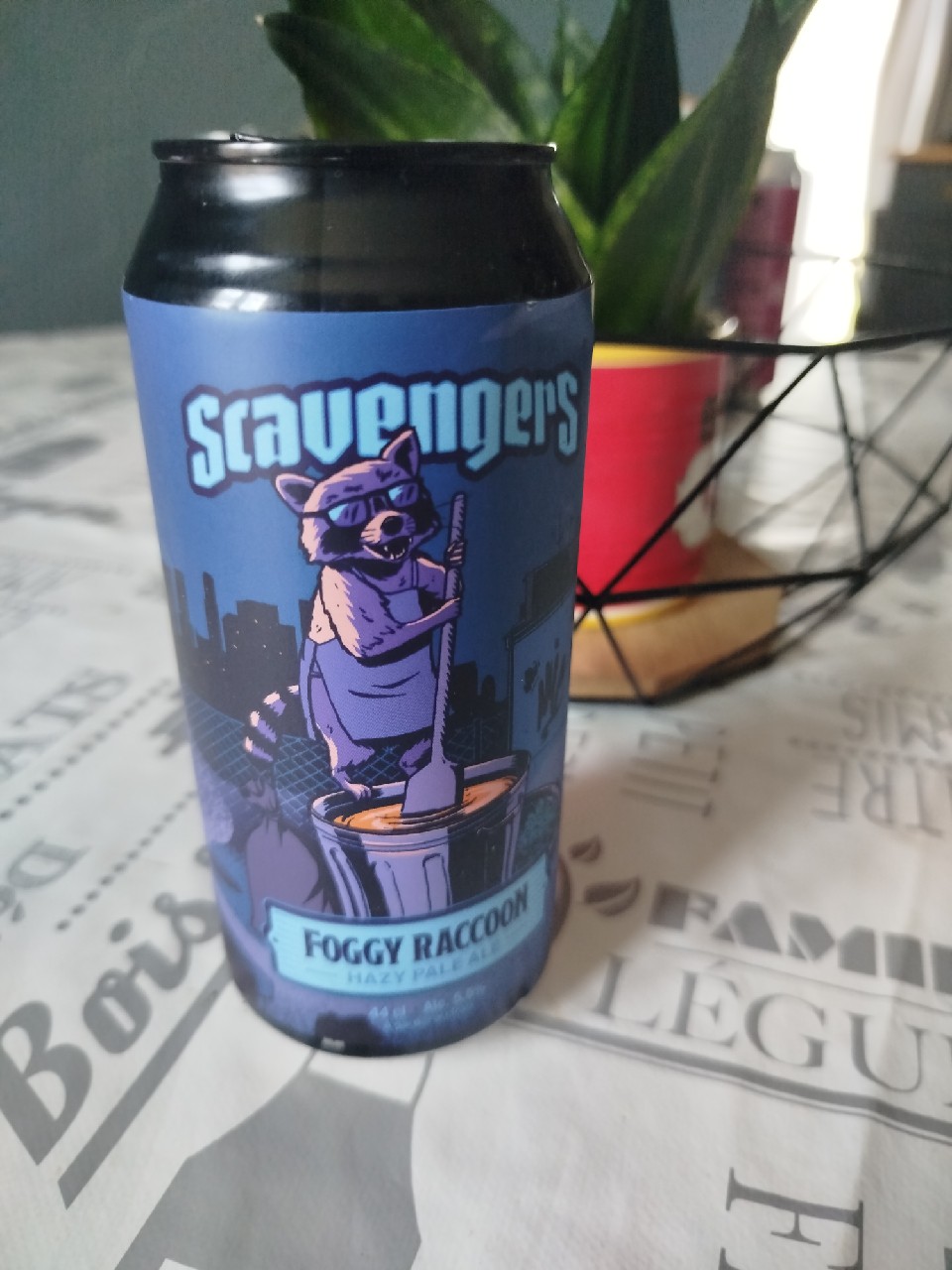 Foggy Raccoon, France