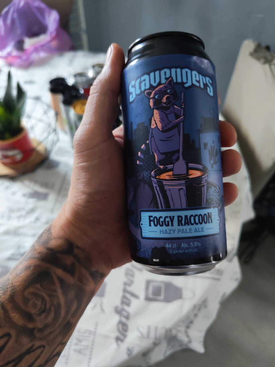 Foggy Raccoon, France