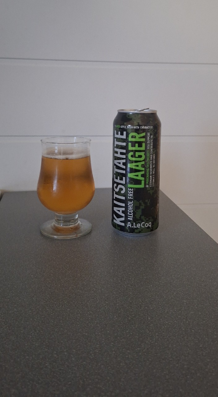 kaitsetahte alkoholivaba laager, Estonia