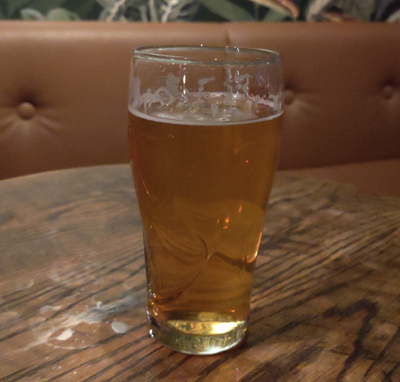 Lahden Erikois NEDIPA, Finland