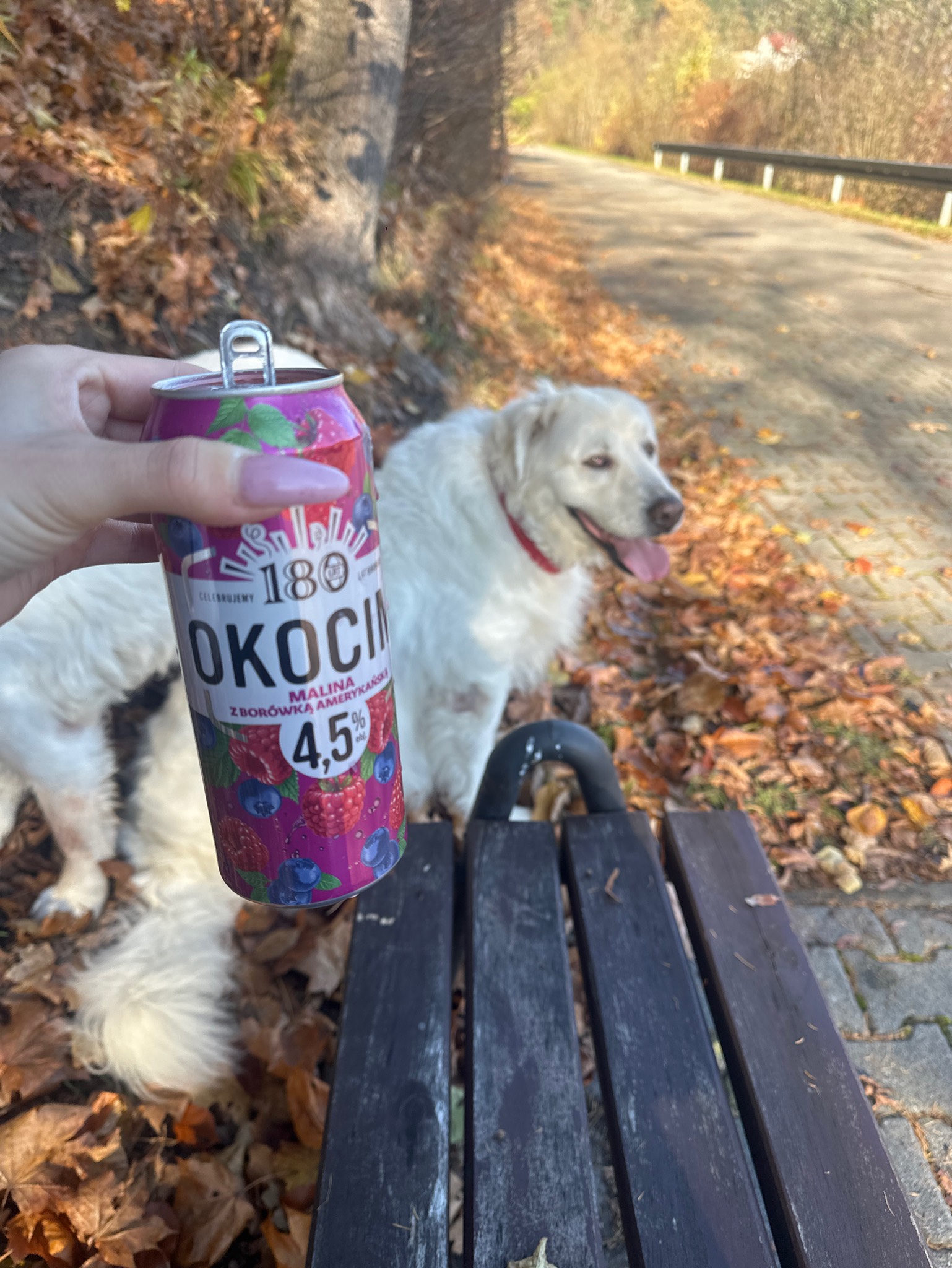 Okocim Malina z borowka amerykanska, Poland