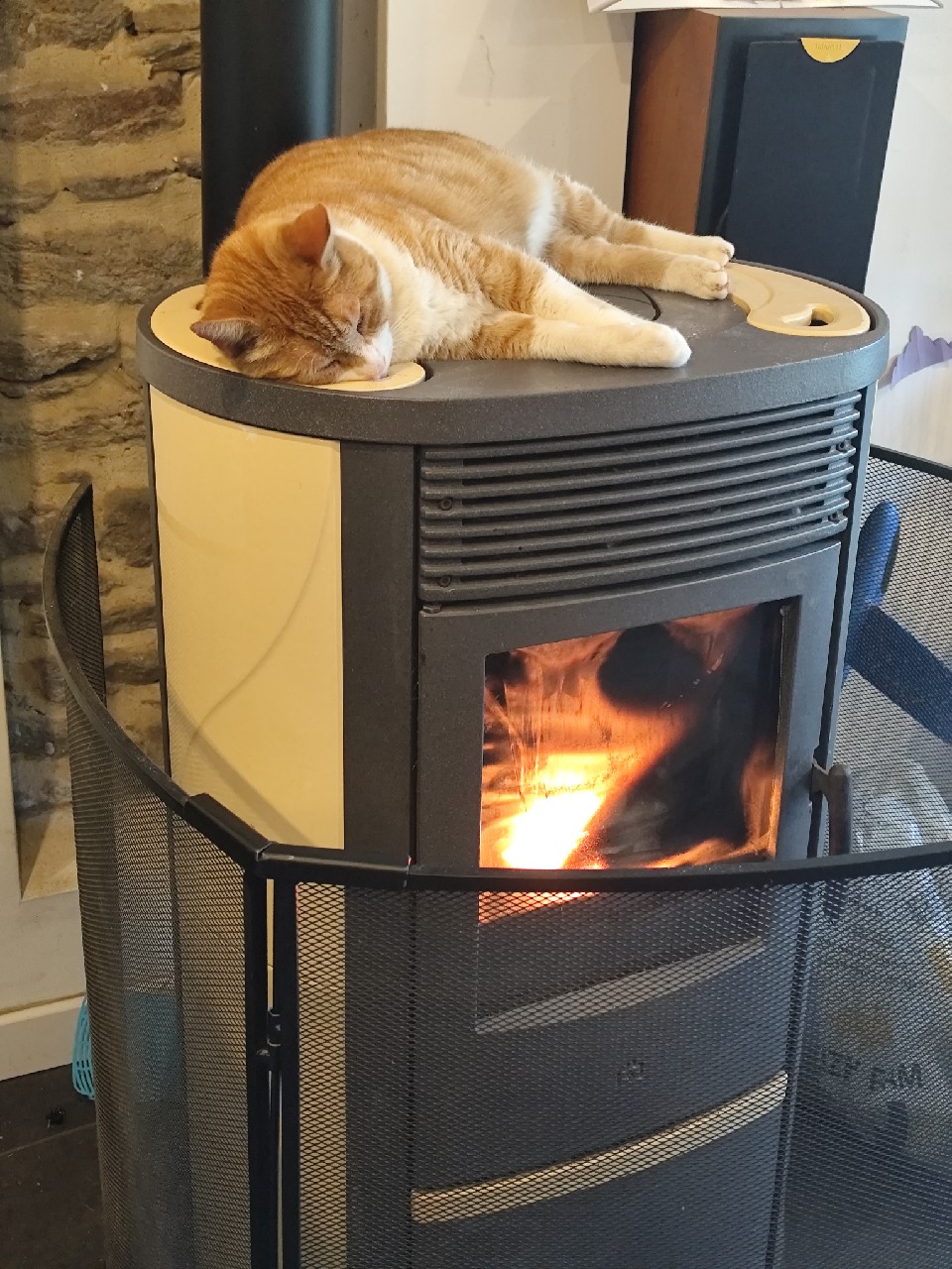 Trompe Souris DDH IPA, France