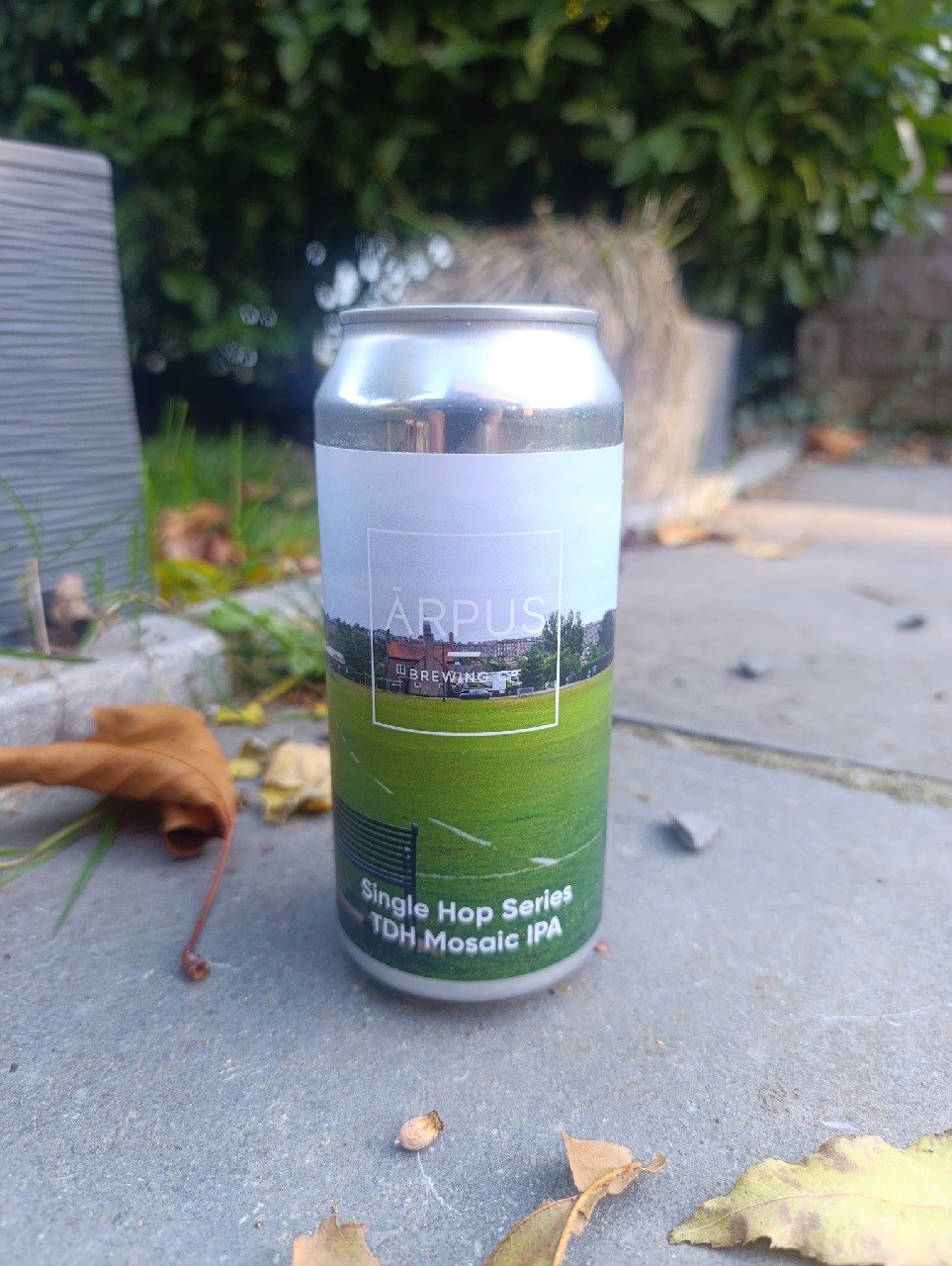 single hop series TDH Mosaic ipa, Latvia