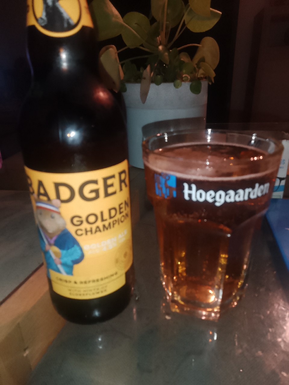 Golden Champion, England