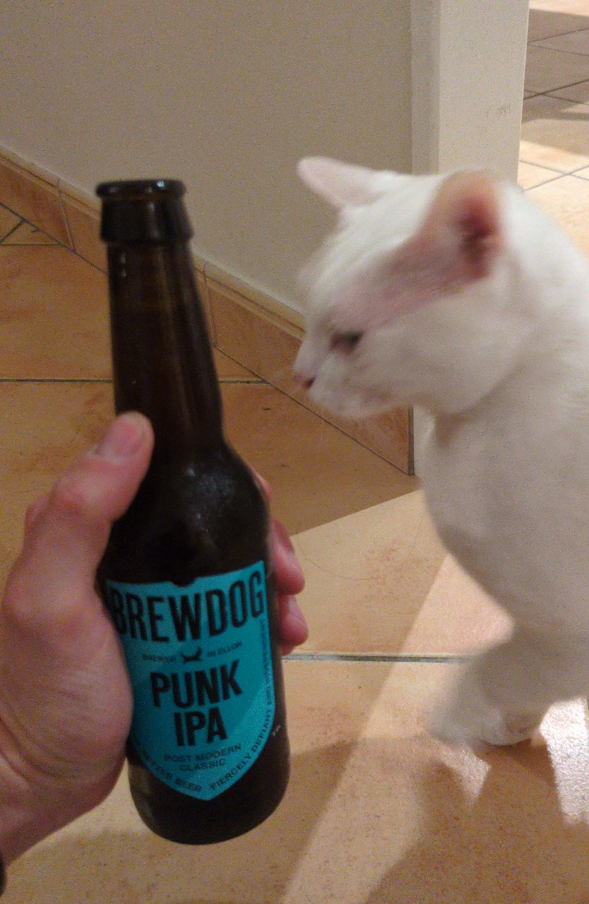 Punk IPA, Scotland