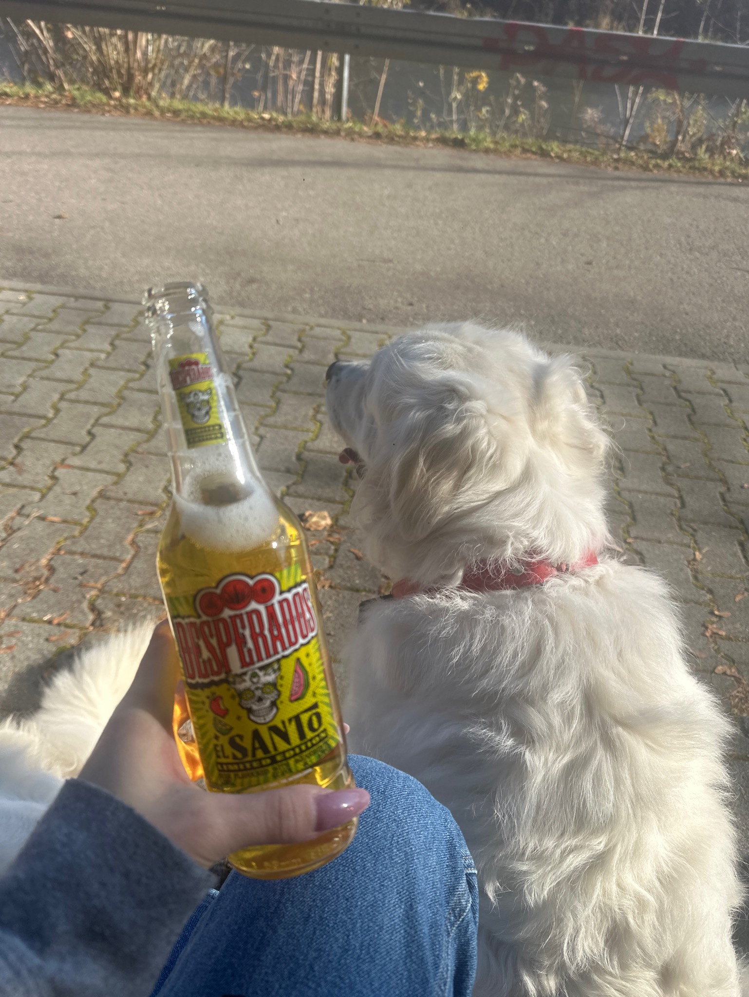 Desperados el santo, Poland