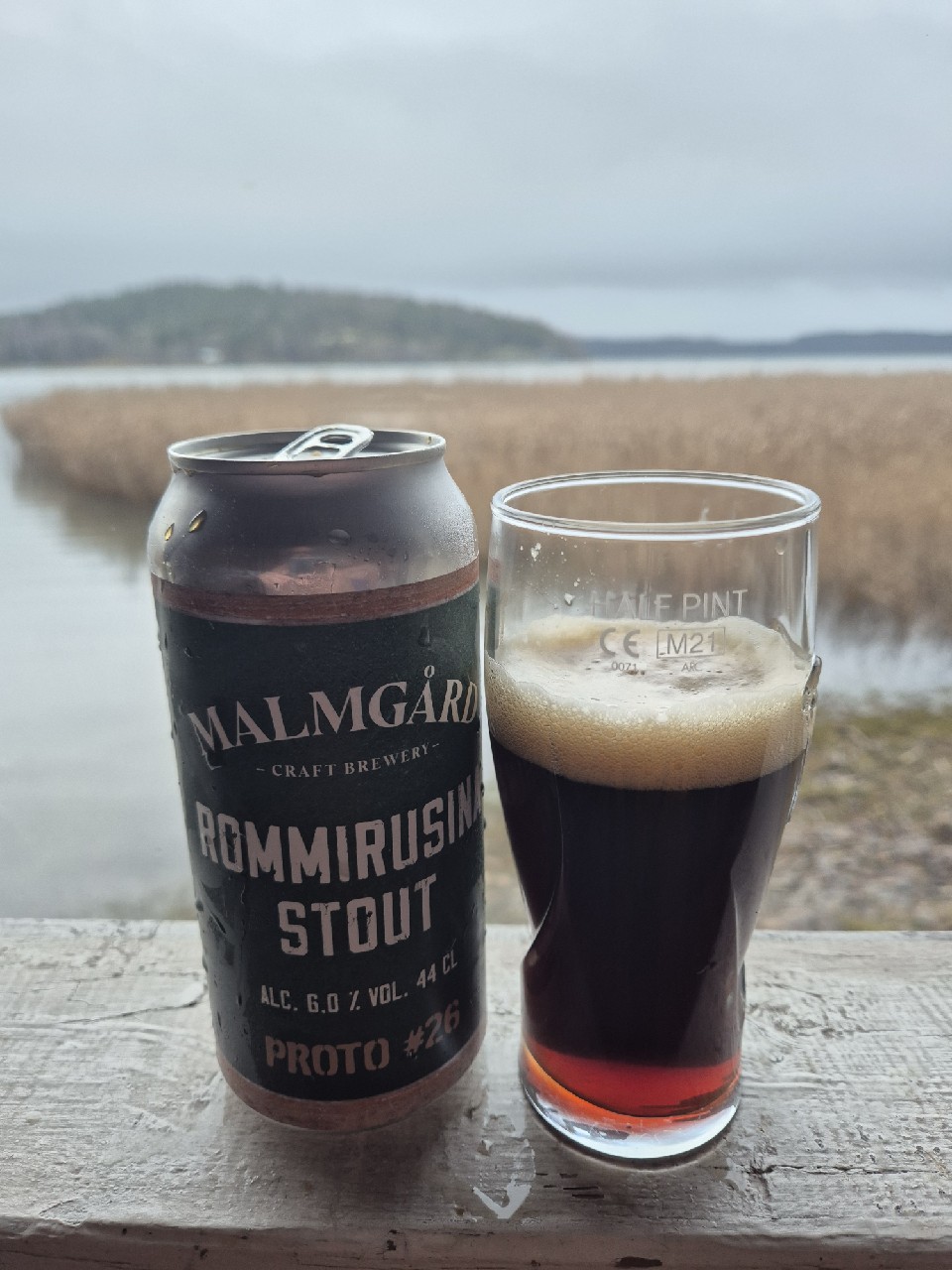 Proto #26 Rommirusina Stout, Finland