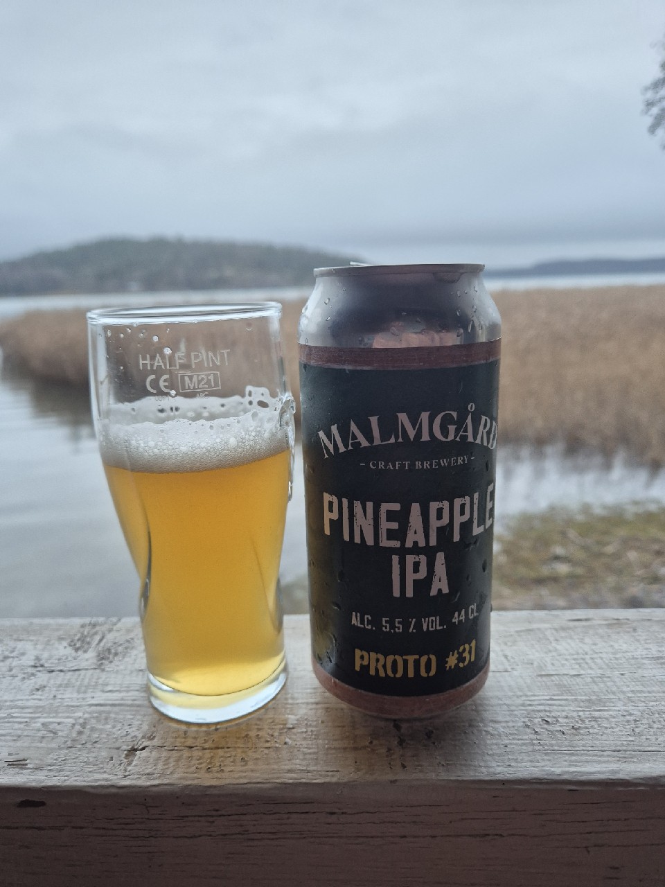 Proto #31 Pineapple IPA, Finland