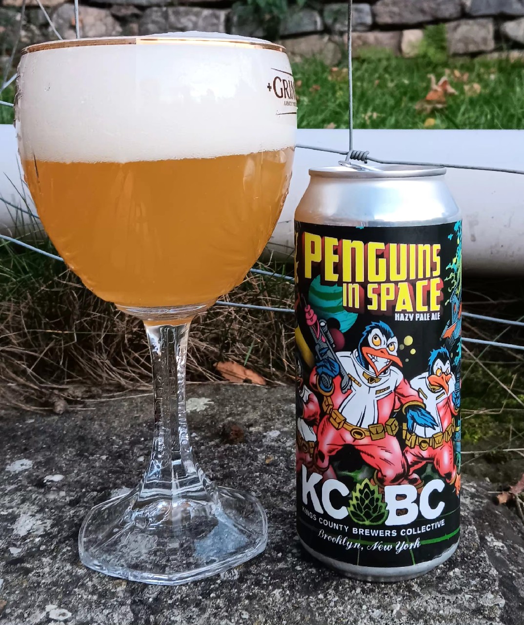 penguins in space, Kings County Brewers Collective KCBC