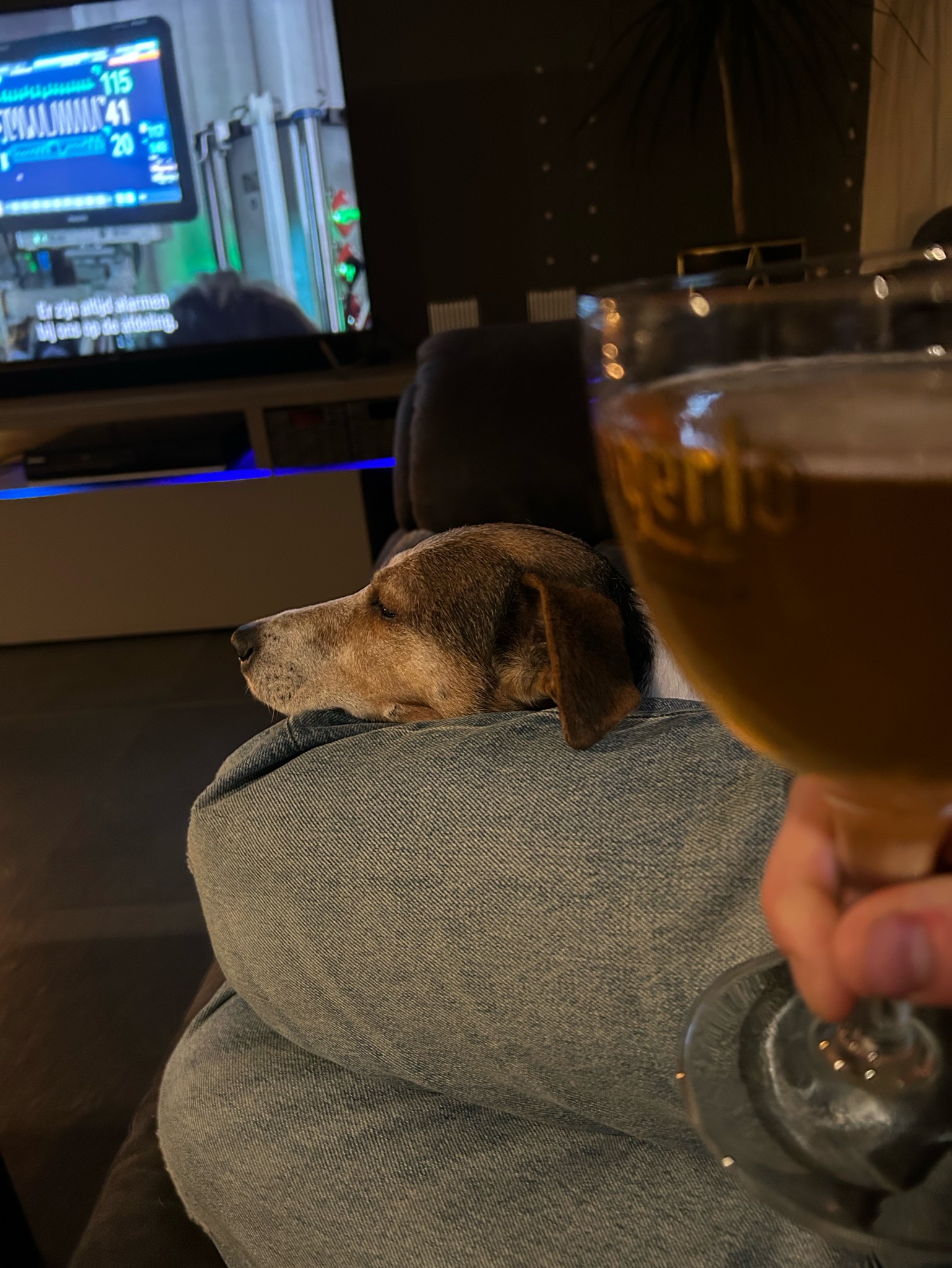 Waterloo Saison Bio, Brasserie De Waterloo