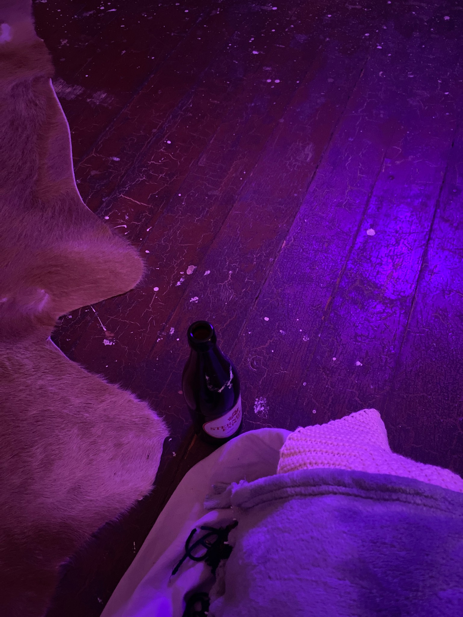 Sternburg Export, Leipziger Brauhaus Zu Reudnitz (Oetker Group)