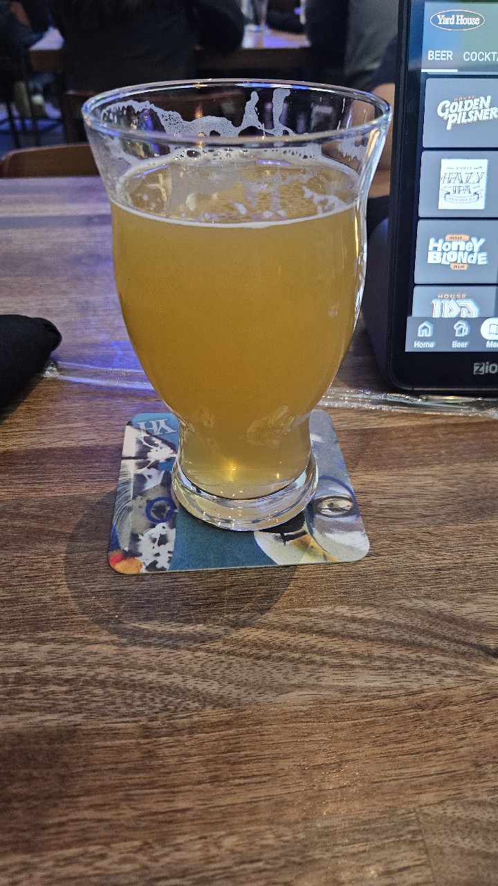 House Hazy IPA, United States