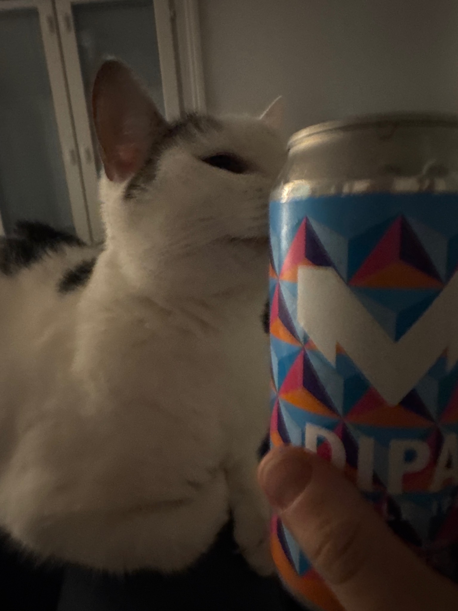 Mufloni DIPA 8.0%, Finland