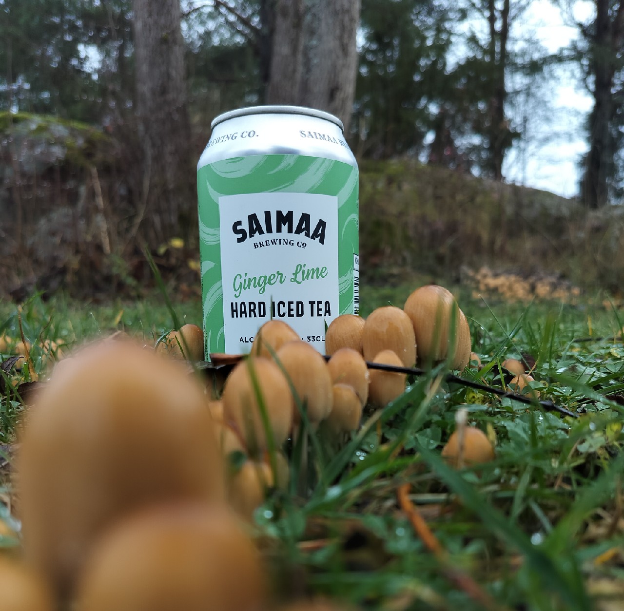 Saimaa Hard Iced Tea, Finland