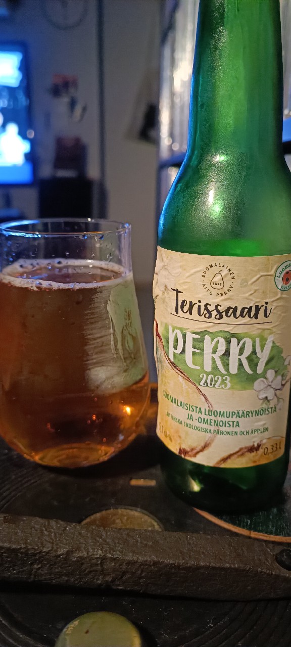 Terissaari perry 2023, Terissaari