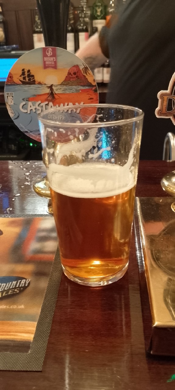 Castaway Citra IPA, Bosun's Brewing