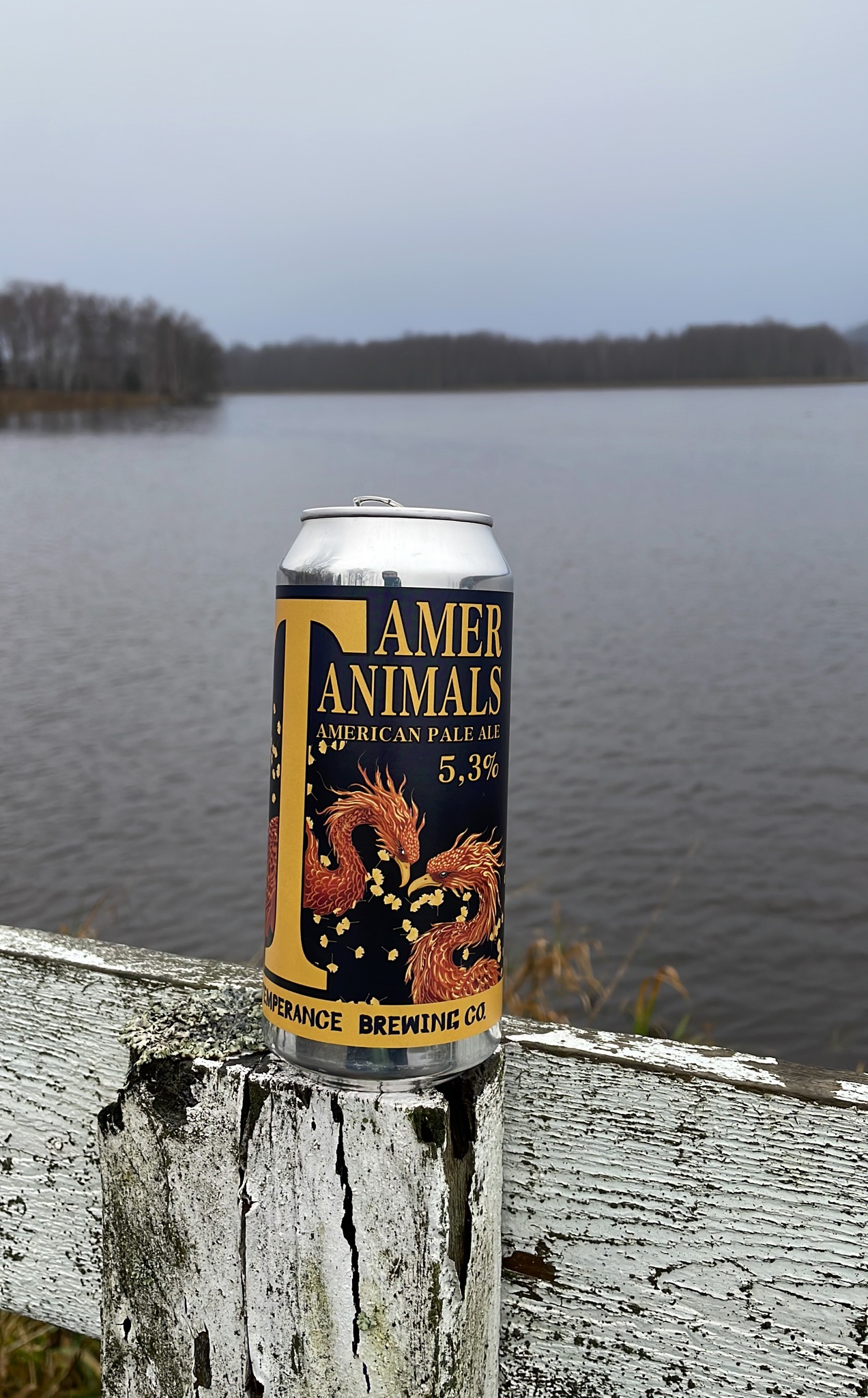 Tamer Animals, Finland