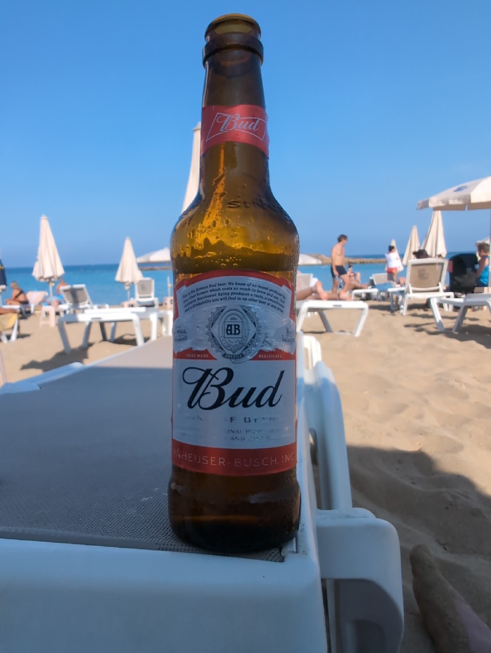 Budweiser / Bud, Anheuser-Busch InBev