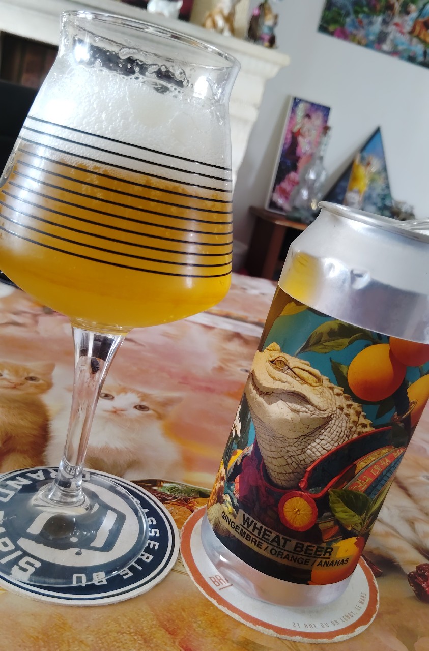 Wheat Beer Gingembre/Ananas/Orange, France