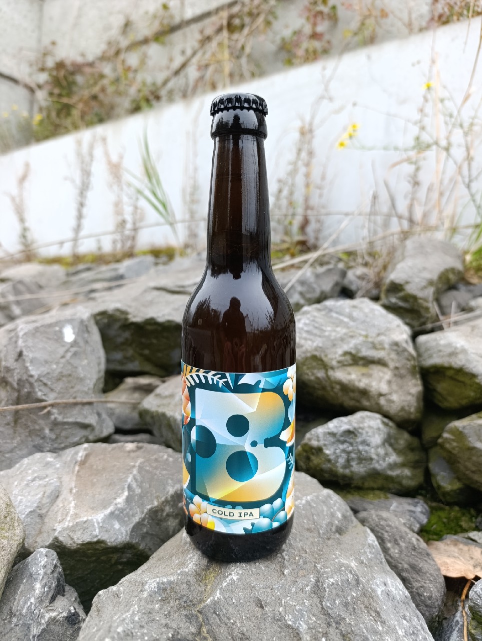 Zone B cold IPA, Zone B