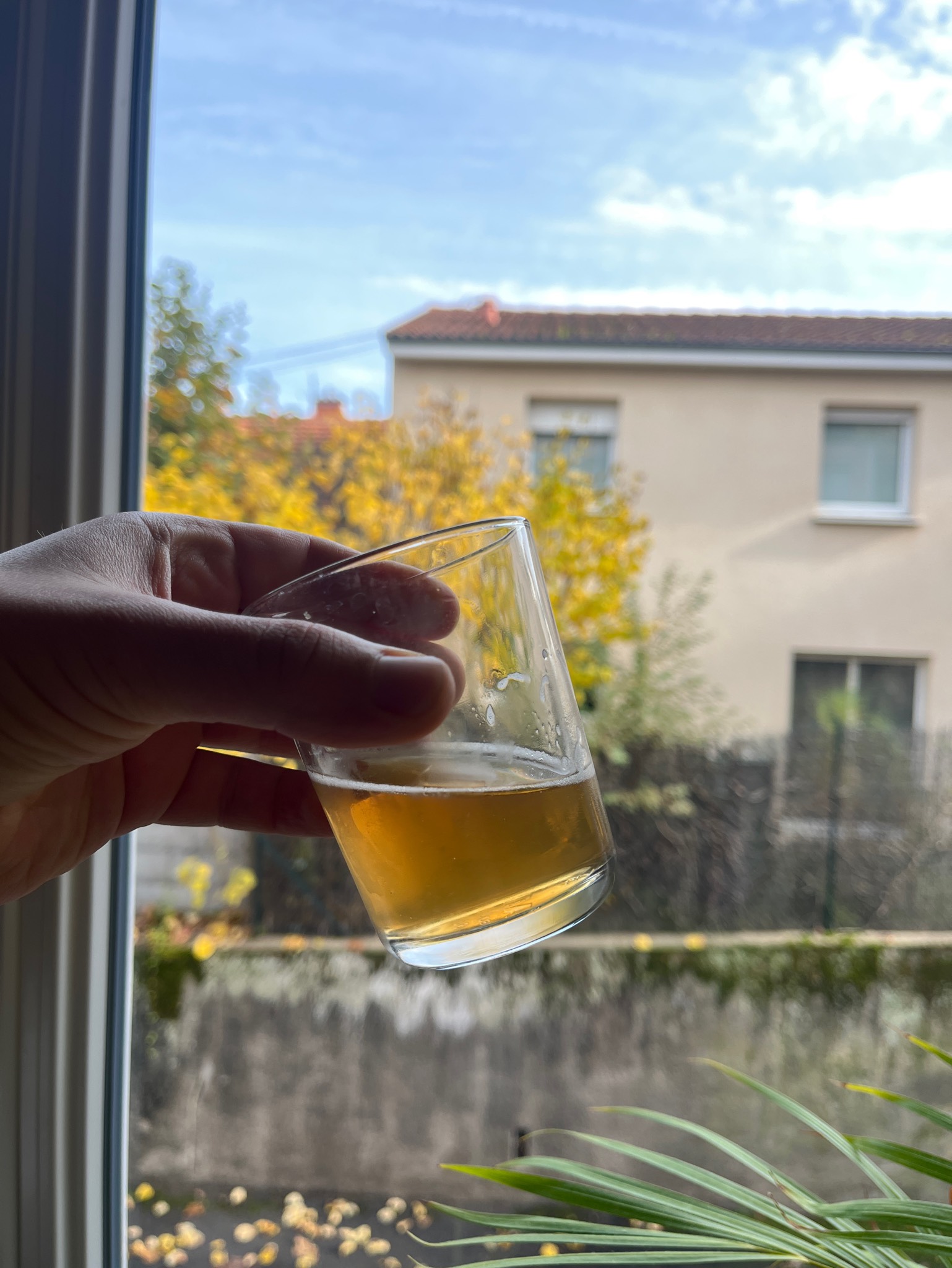 Le Bougnat Blonde Terroir, France