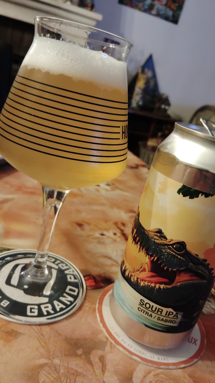 Sour IPA Citra/Sabro, France