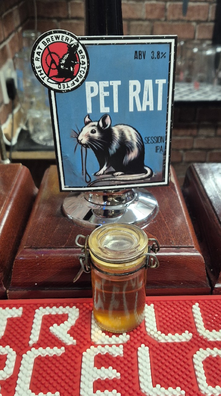 Pet Rat, The Rat Brewery
