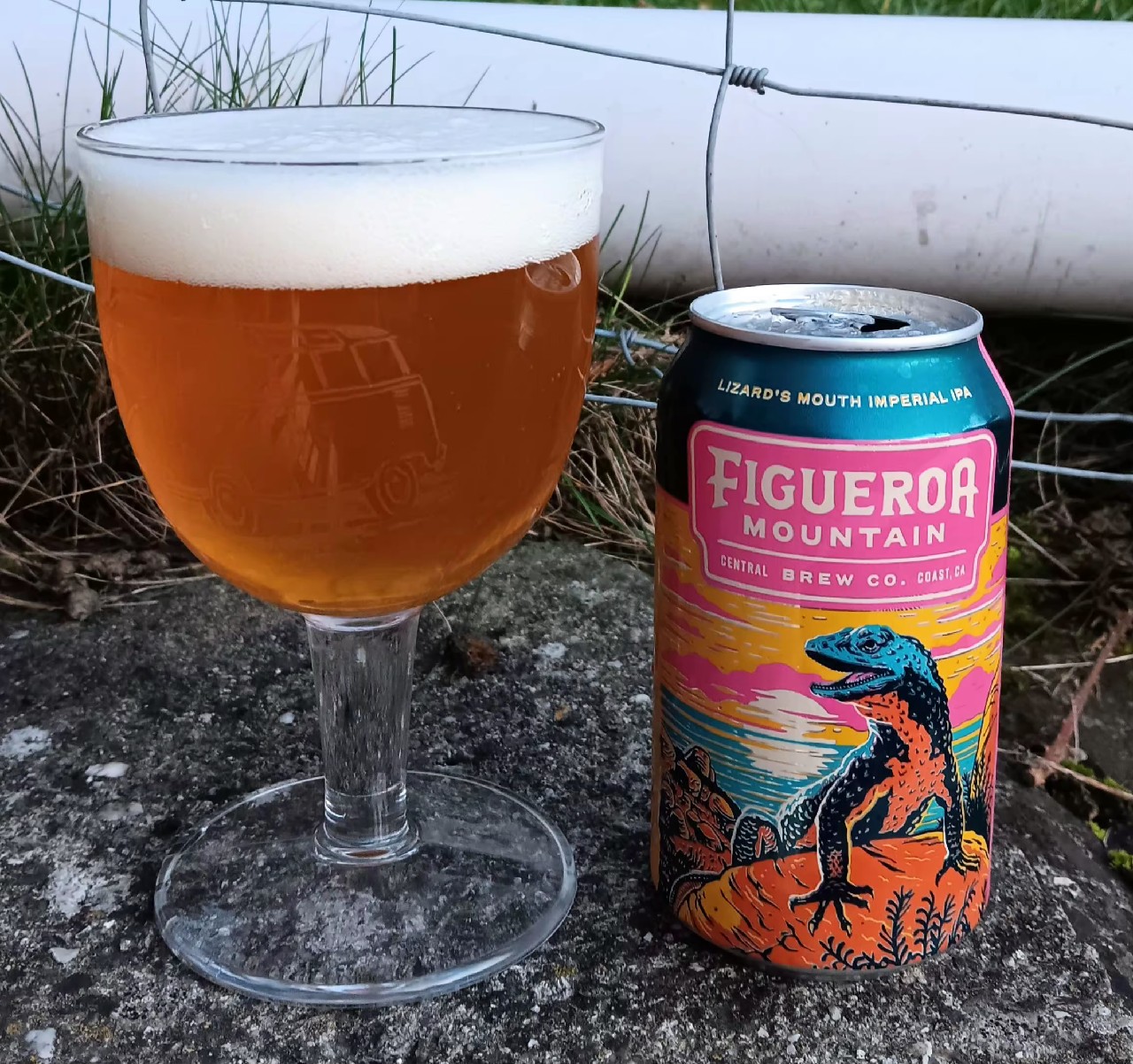 Lizard's Mouth, Figueroa Mountain Brewing Co.