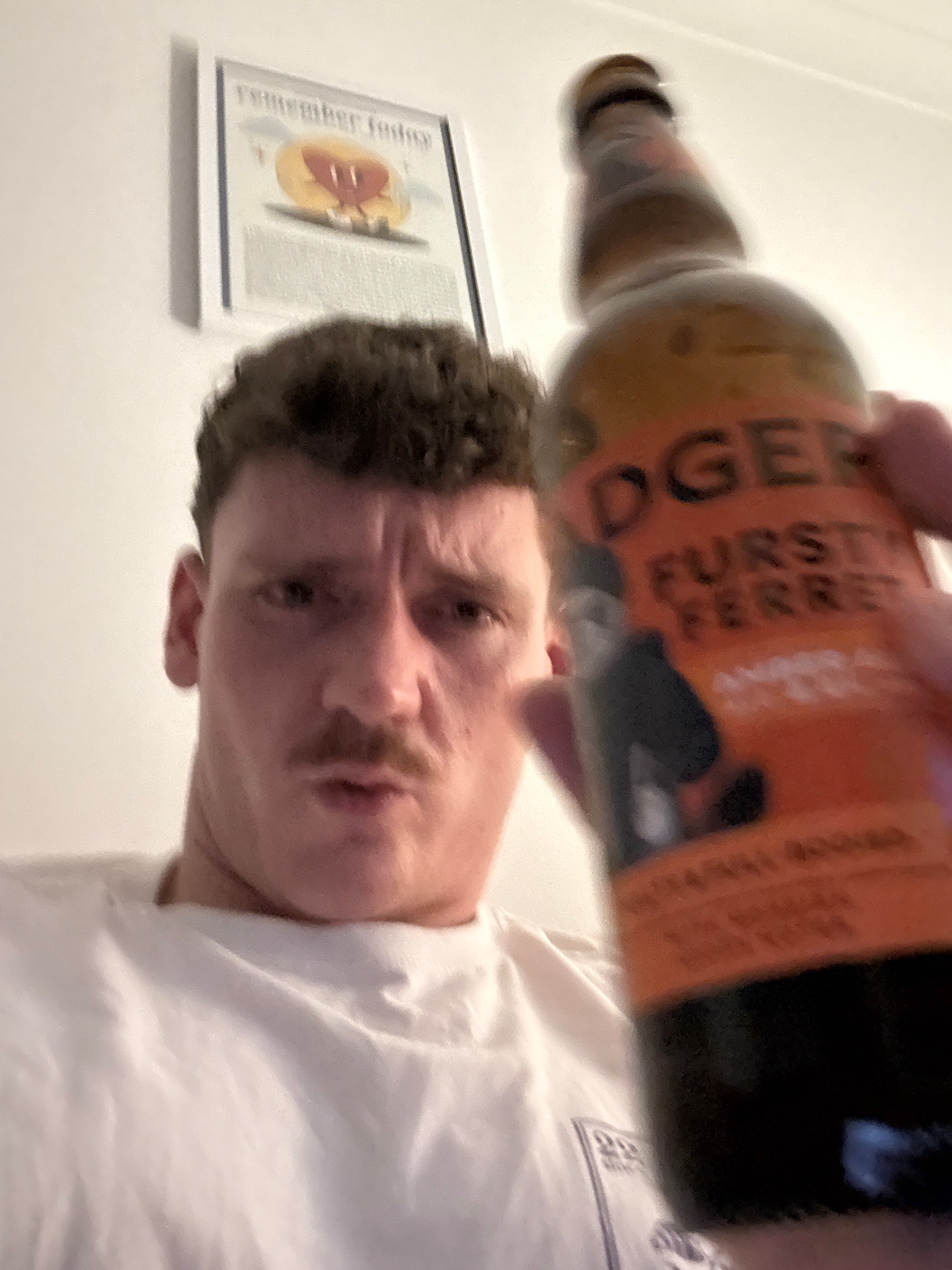 The Fursty Ferret, England