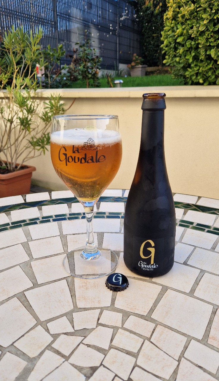 G De Goudale Millésime 2025 (Nelson Sauvin & Citra), France