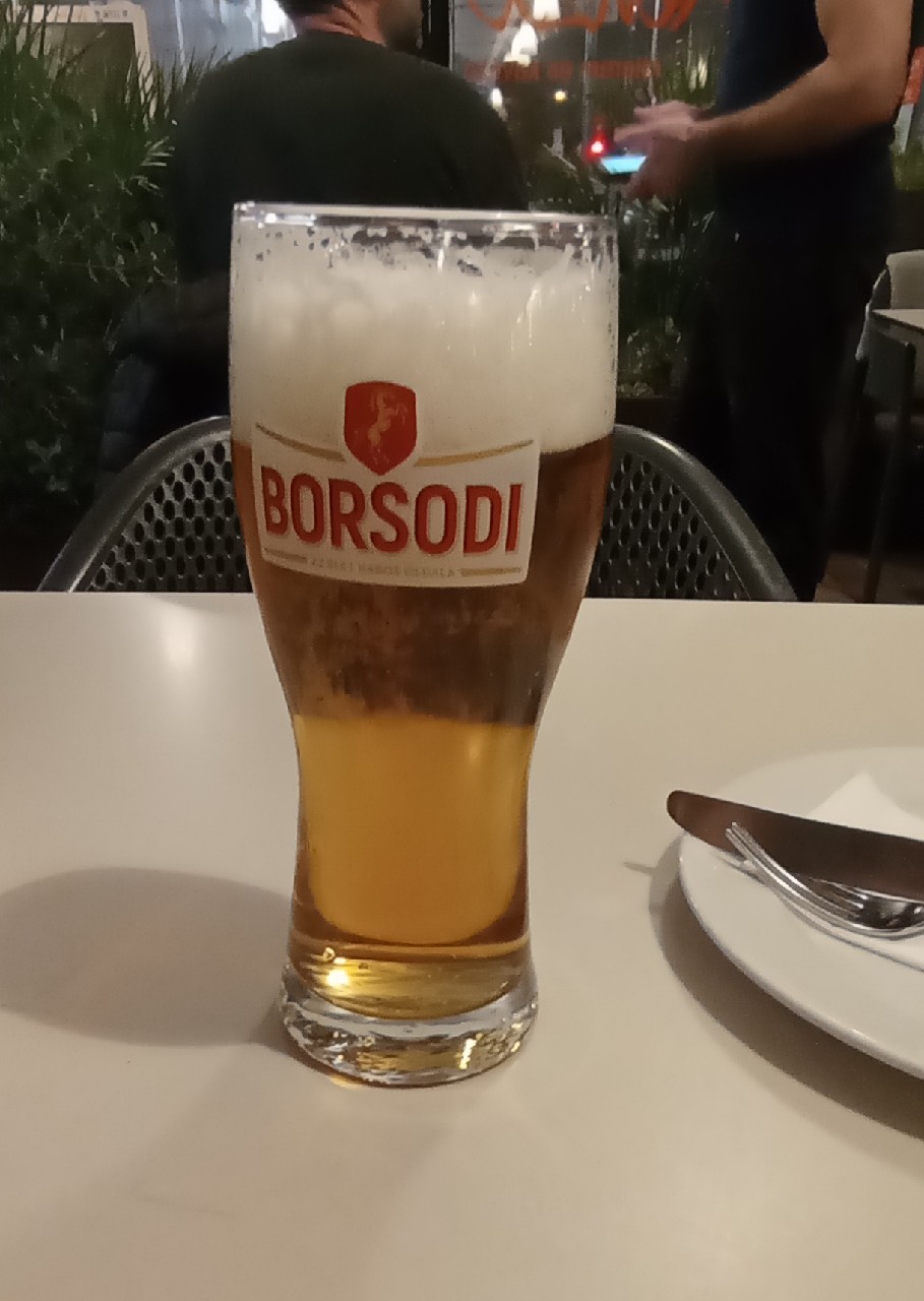 Borsodi, Borsodi Sörgyár Kft