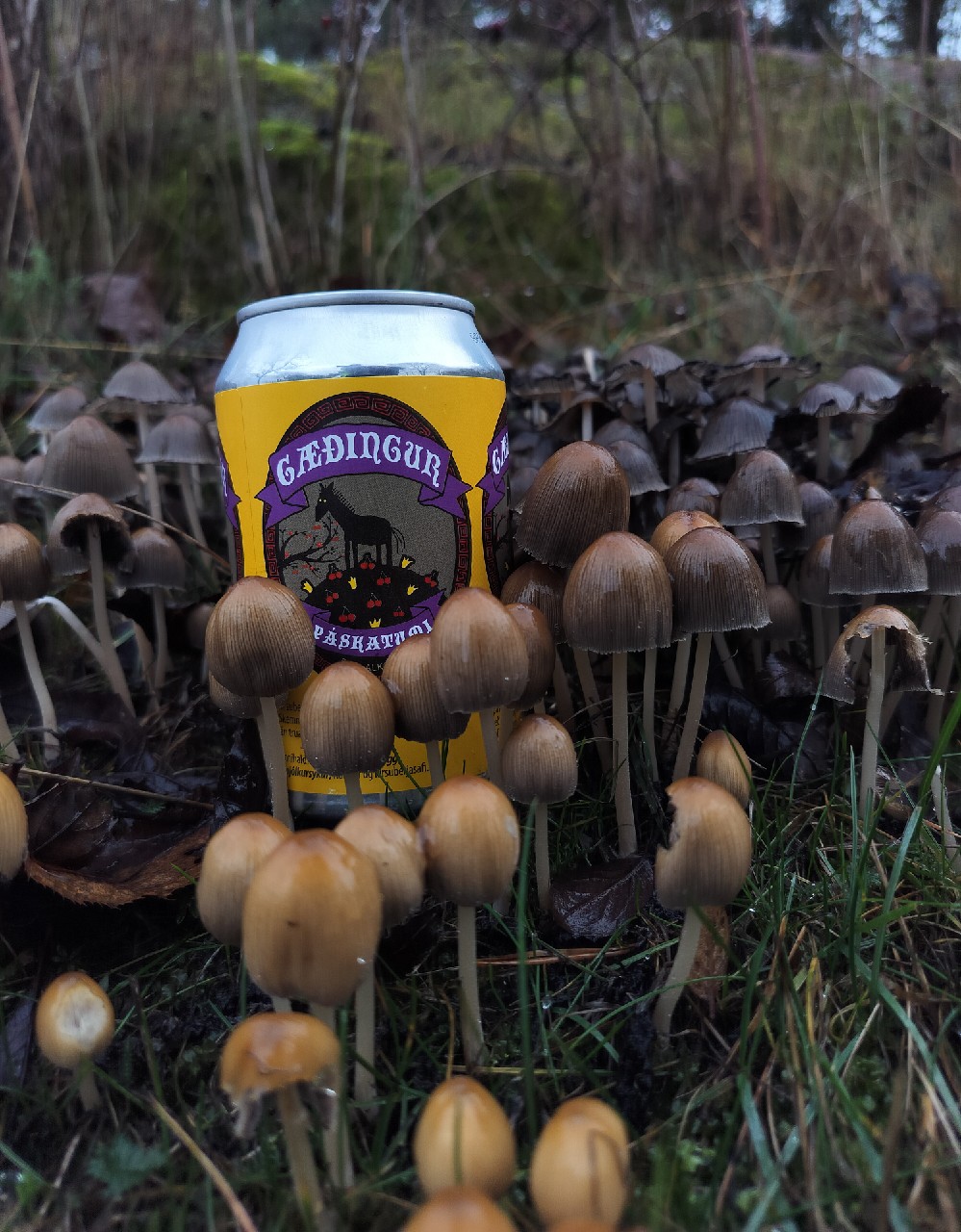 Gaedingur paskatumi, Gæðingur Öl Brugghús