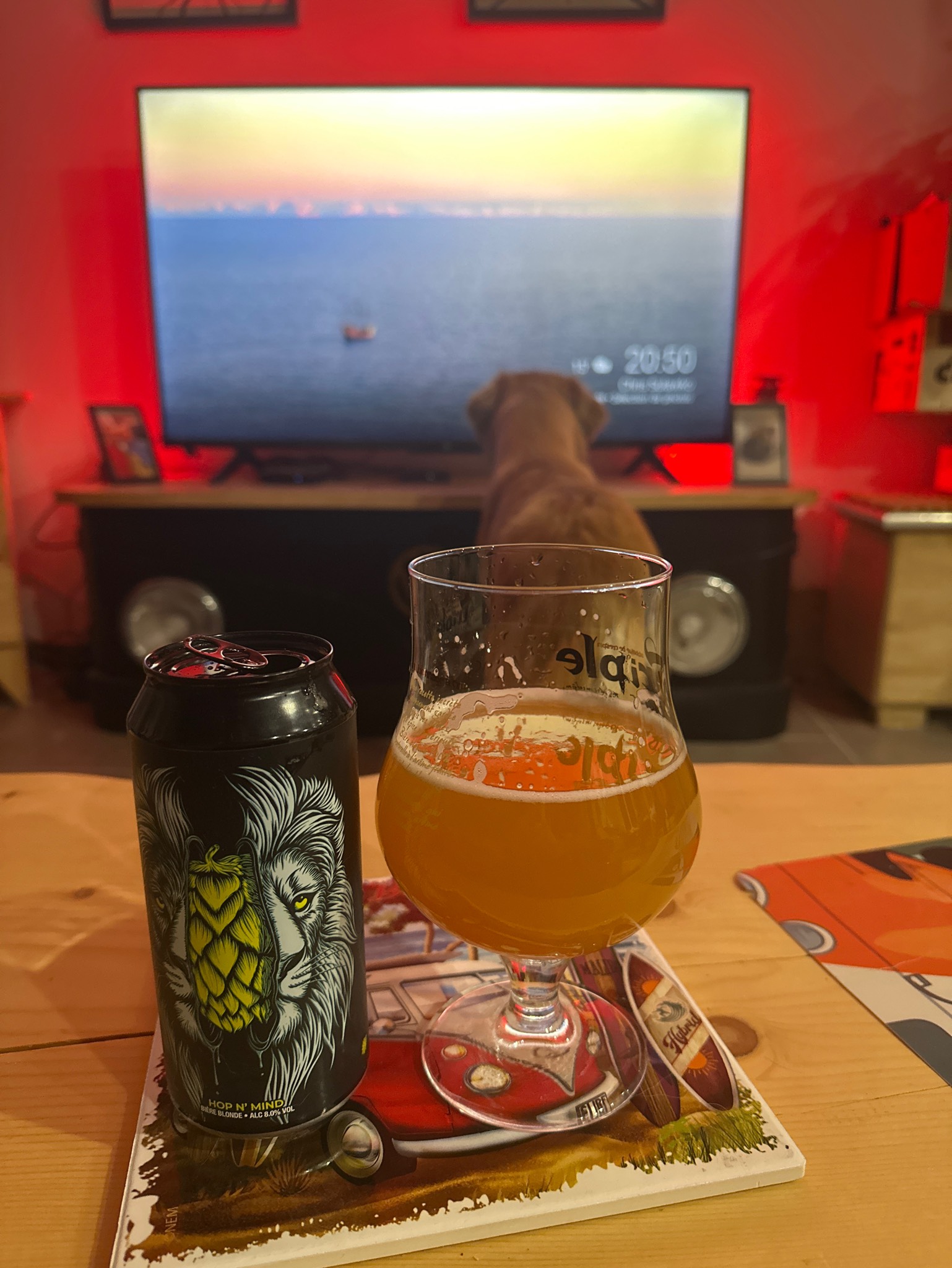 double ipa hop n' mind, France