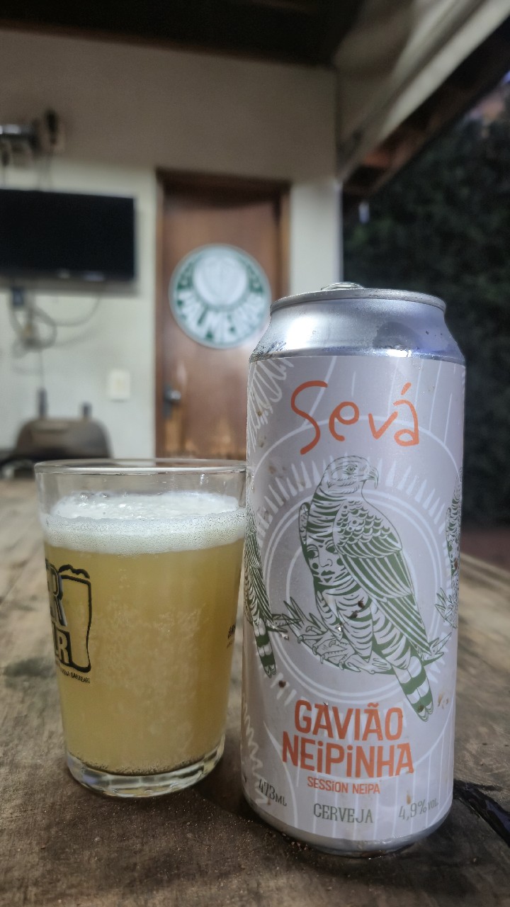 GAVIÃO NEIPINHA, Brazil