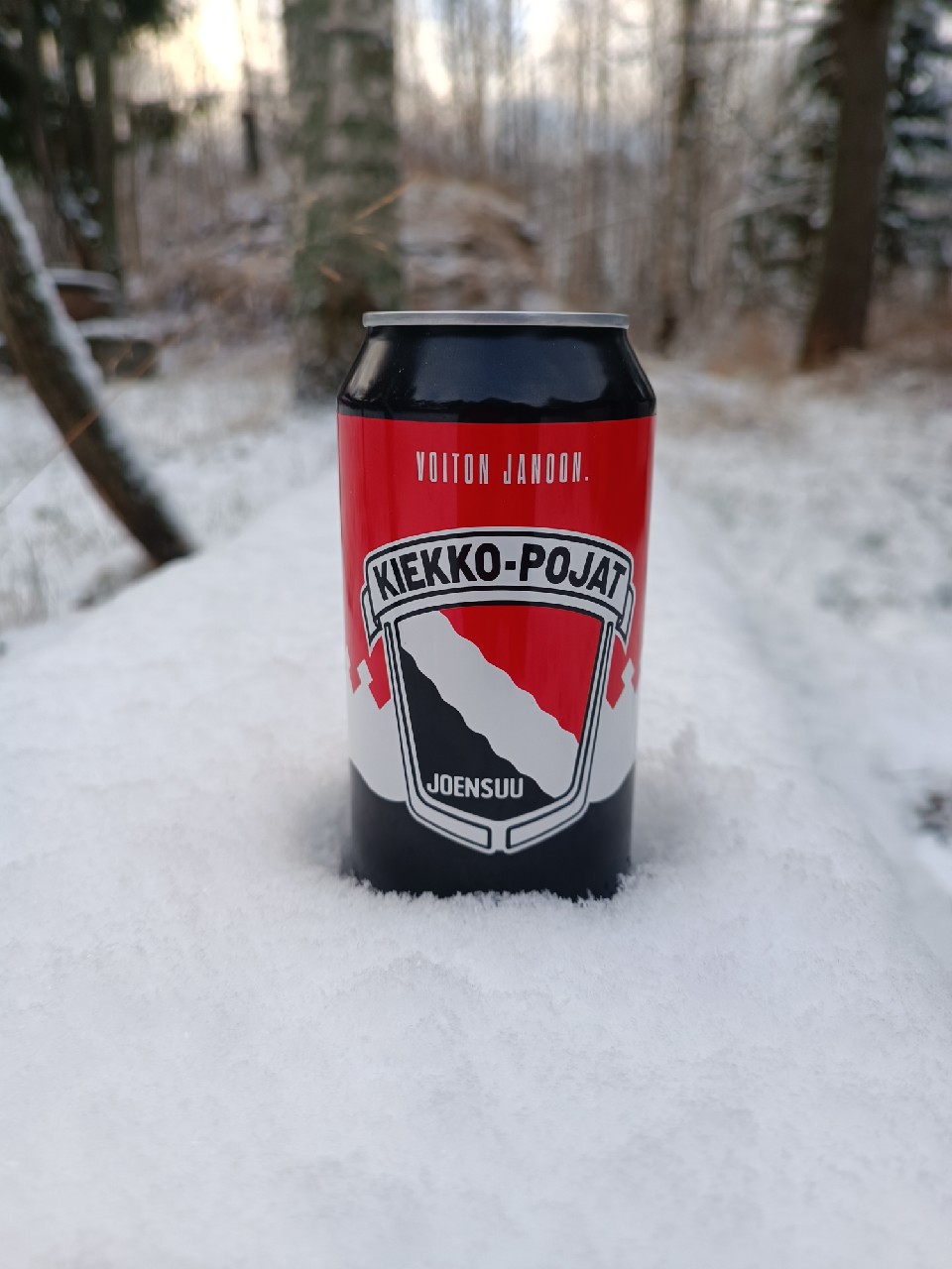 kiekko-pojat, Finland