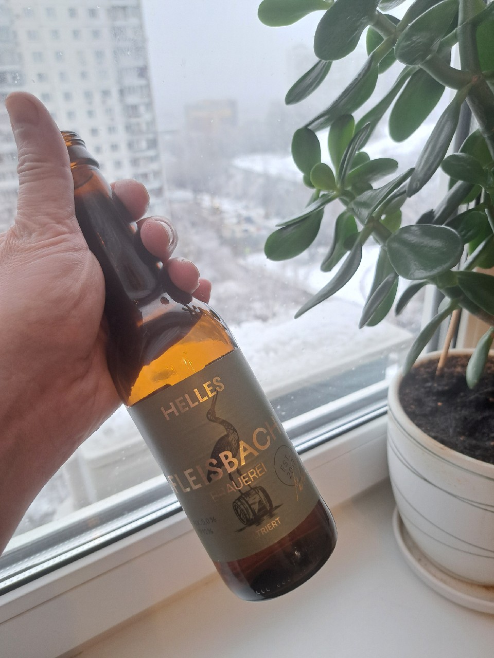 Fleisbach Helles, Bochkarevsky Pivovarenny Zavod / Бочкаревский Пивоваренный Завод