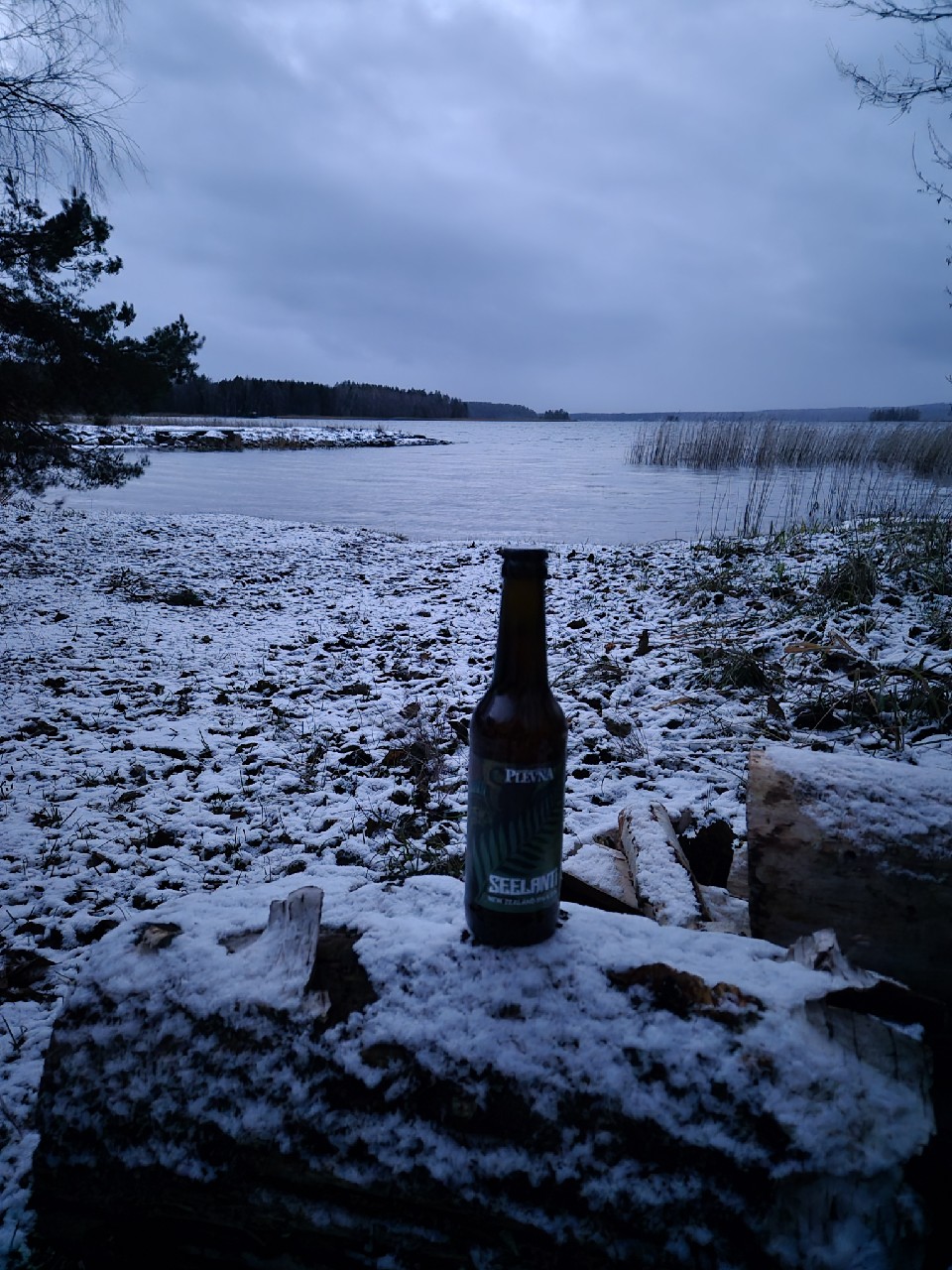 Seelanti NZIPA, Finland