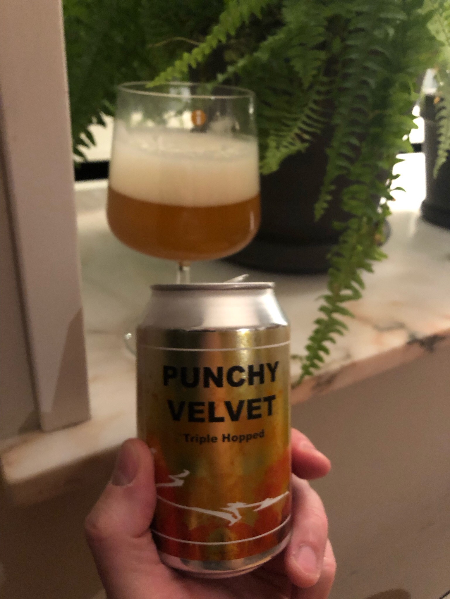 Punchy velvet, Viken Bryggeri
