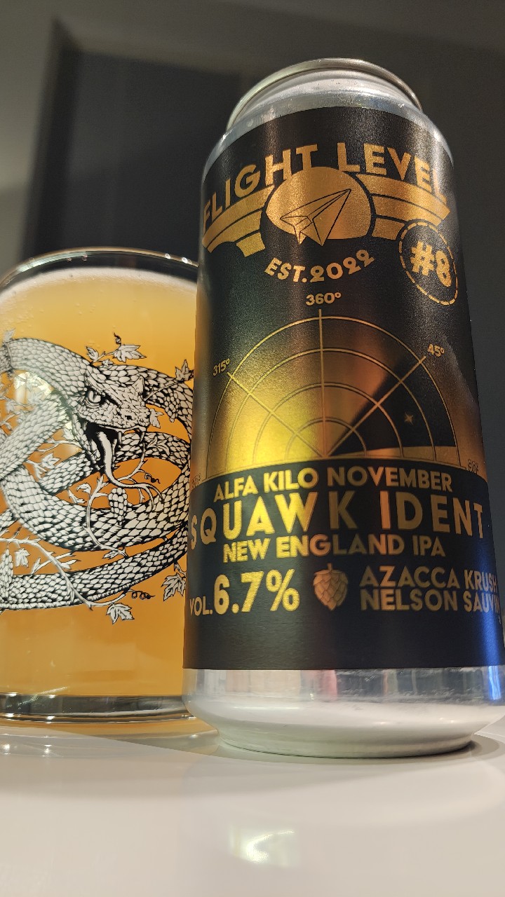 Alfa Kilo November Squawk Ident #8, Finland