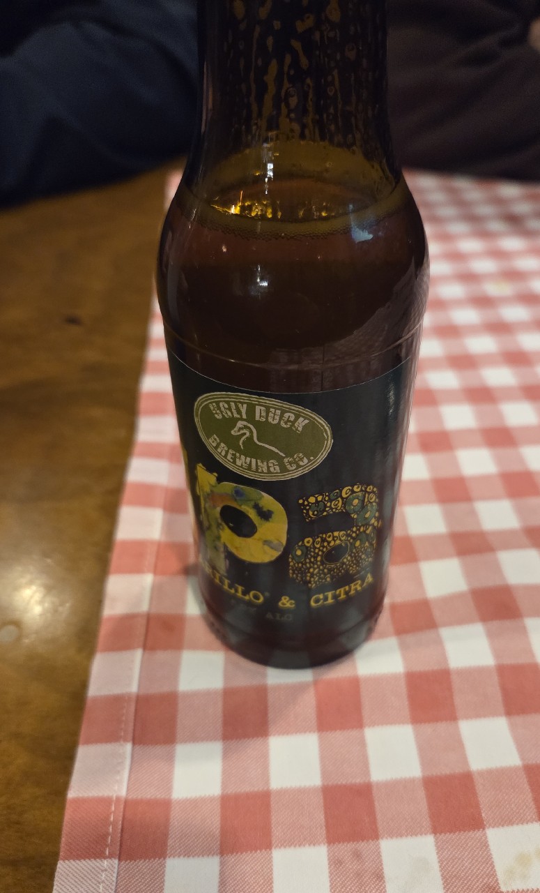 IPA Amarillo & Citra, Denmark