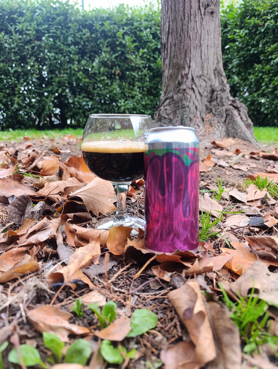 Mashed Rune 25, Finland