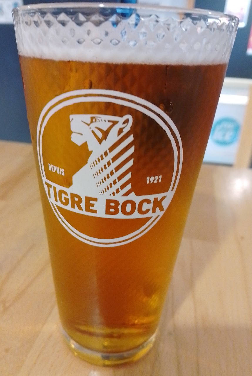 Tigre Bock Blonde, France