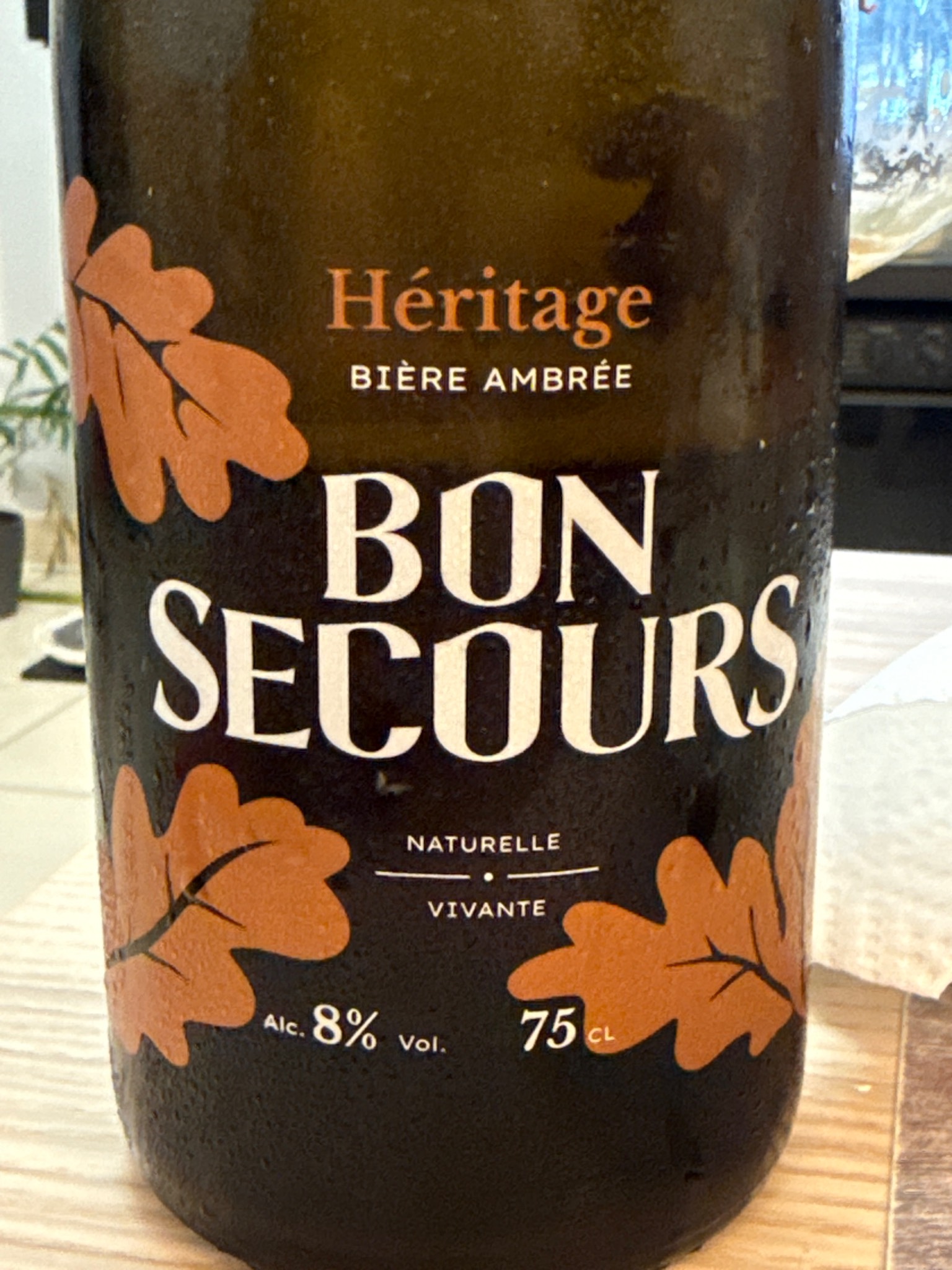 Bon Secours Héritage, Belgium