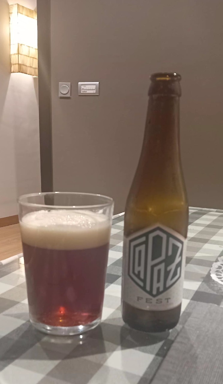 Capaz Fest, Fundación Apascovi