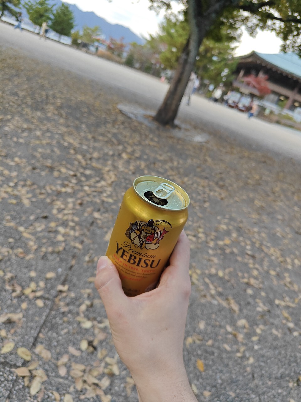 Premium Yebisu, Japan