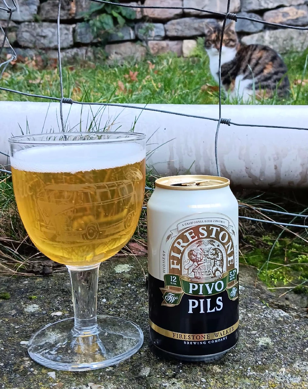 Pivo Pils, United States