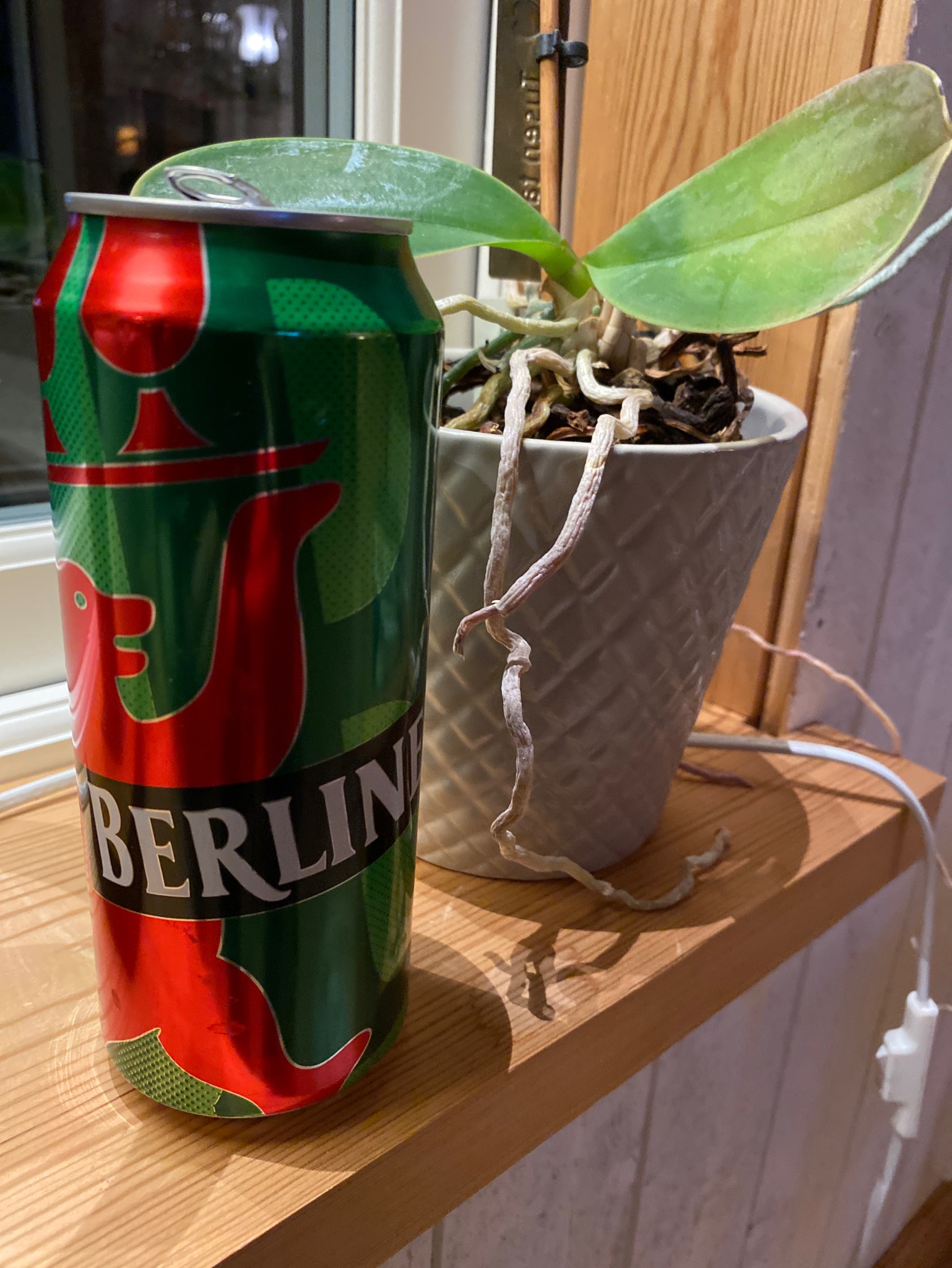 Berliner Pilsner, Germany